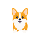 Corgi